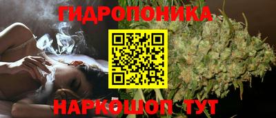 соль ск Обнинск