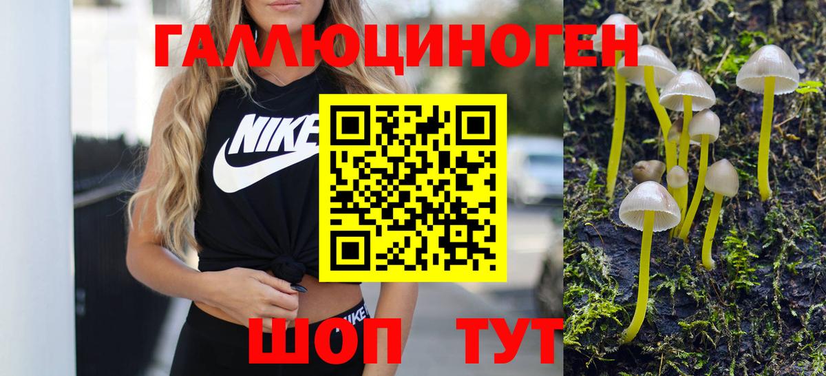 Псилоцибиновые грибы MAGIC MUSHROOMS Сегежа